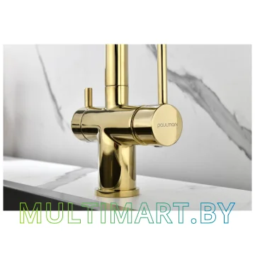 Смеситель Paulmark Serpentine Se213222-G (золото) картинка 5
